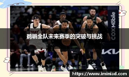 鹈鹕全队未来赛季的突破与挑战